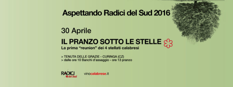 Il pranzo dell’anno con gli stellati calabresi