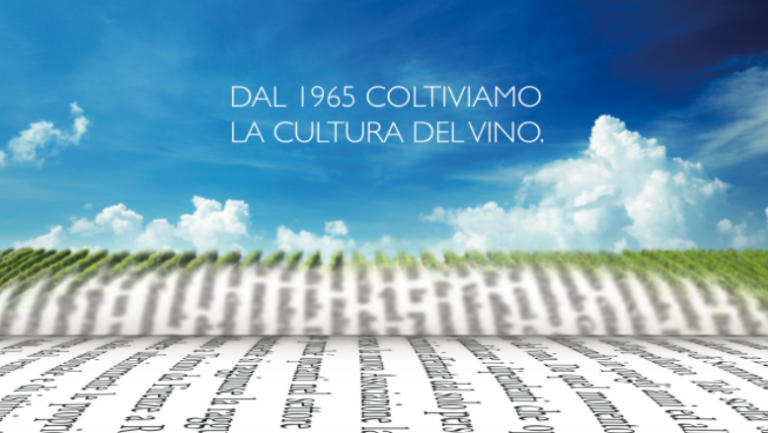 La giornata della cultura del vino e dell’olio di Ais a Locri