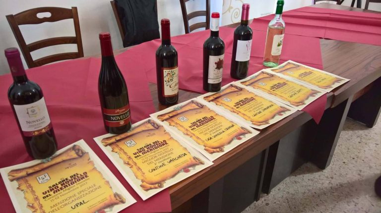 Alla Cantina Statti, il primo premio per il miglior vino novello del Sud