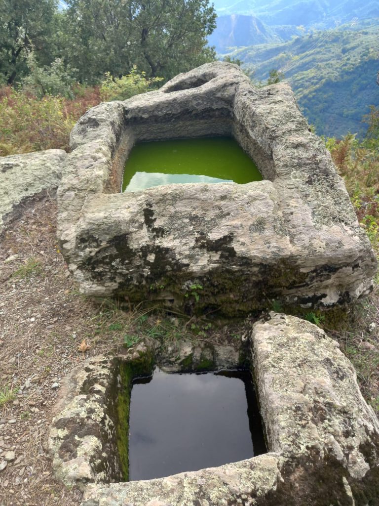 Il palmento di Gimigliano (CZ)